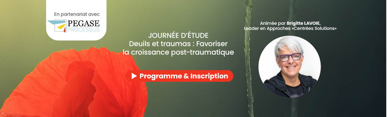 Journée d’étude avec Brigitte LAVOIE : Deuils et traumas : favoriser la croissance post-traumatique