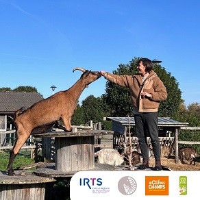 Du côté de nos formations…